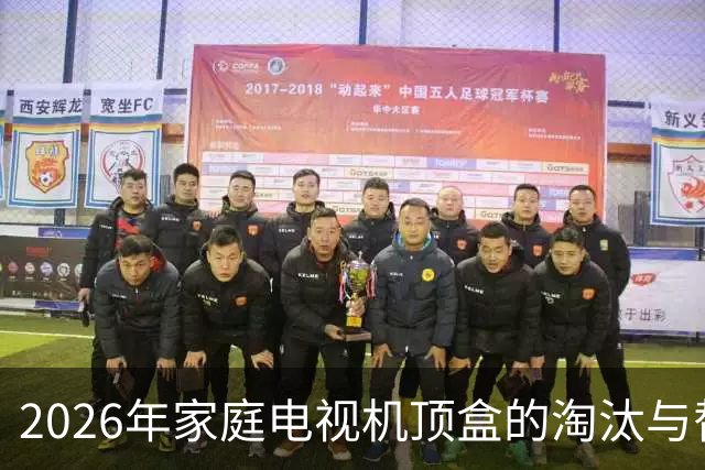 2026年家庭电视机顶盒的淘汰与替代方案研究
